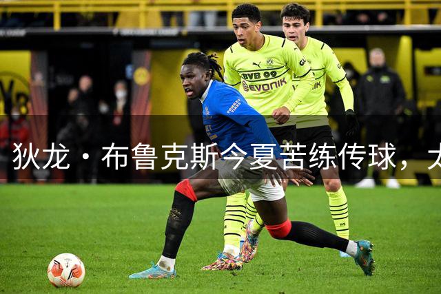 狄龙·布鲁克斯今夏苦练传球，太阳队内部怎么看？有人点赞有人存疑